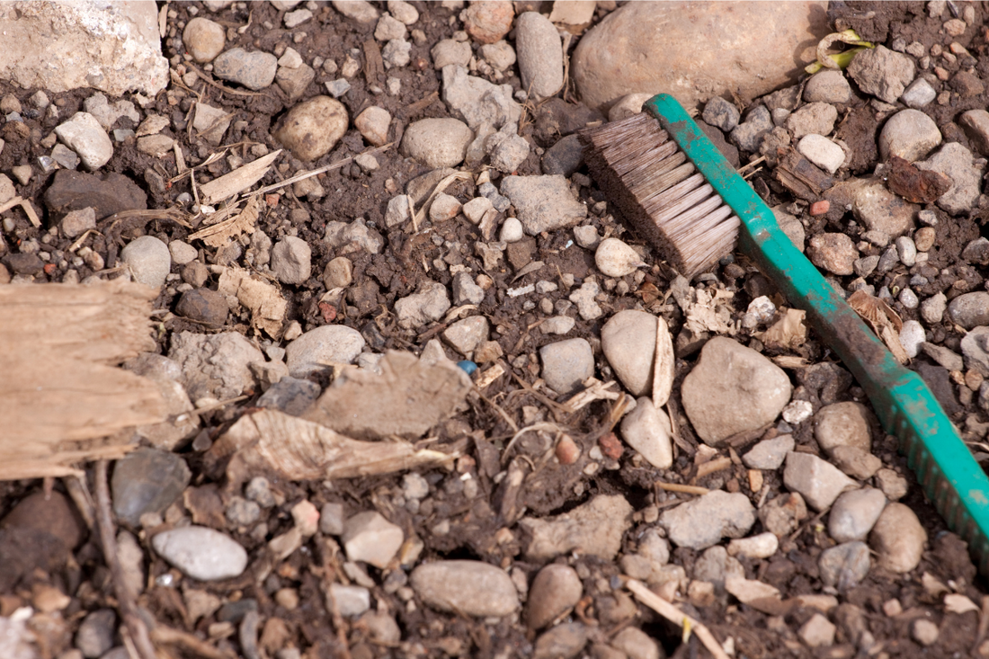 The Environmental Impact of Discarded Plastic Floss and Toothbrushes