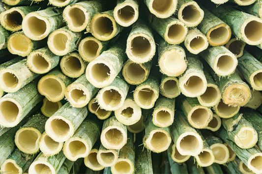 Unlocking the Power of Bamboo