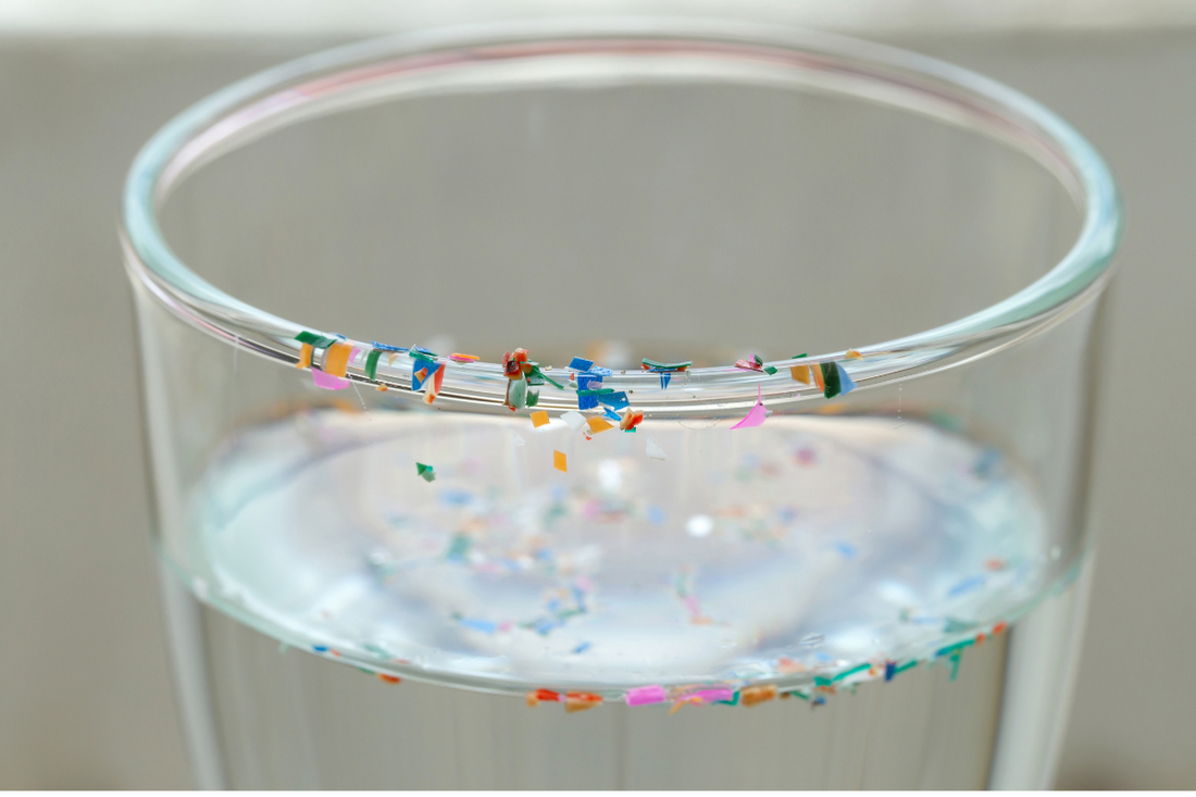 Understanding the Hidden Threat of Microplastics