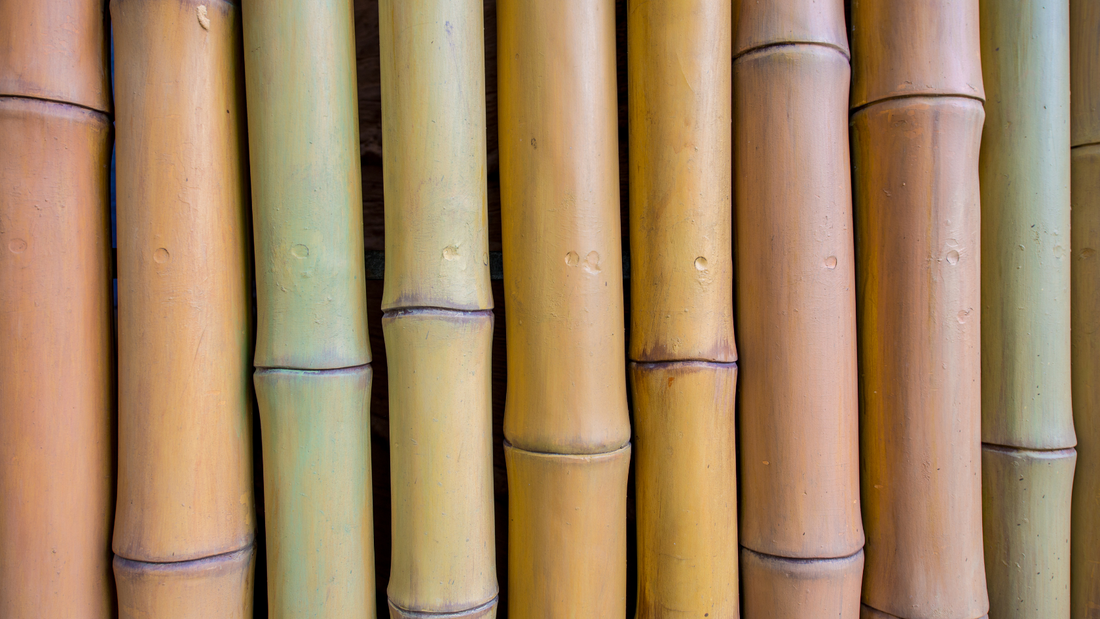 The Incredible Benefits of Bamboo