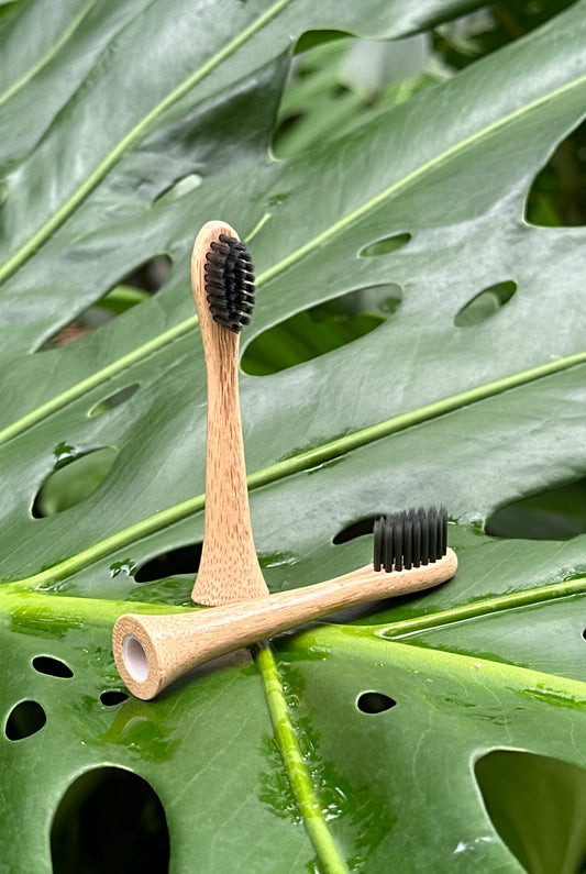 Electric Bamboo Toothbrush Head