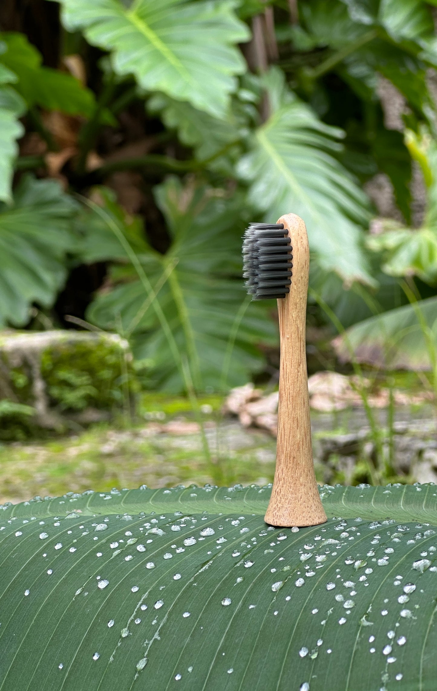 Electric Bamboo Toothbrush Head