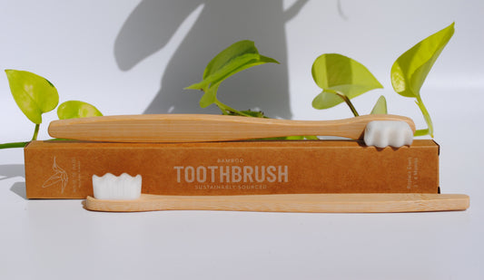 Two Bamboo Toothbrushes Set