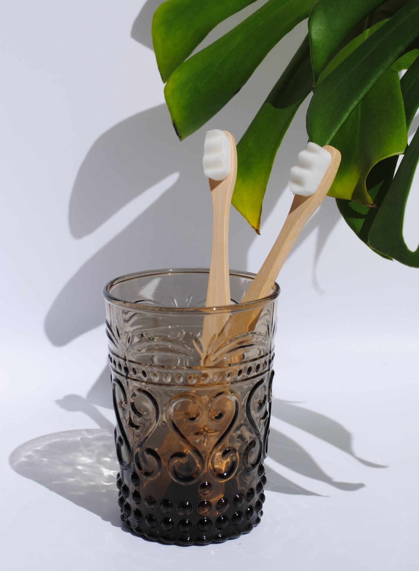 Two Bamboo Toothbrushes Set