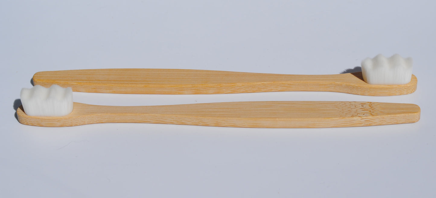 Two Toothbrushes and Refillable Silk Floss Bamboo Case