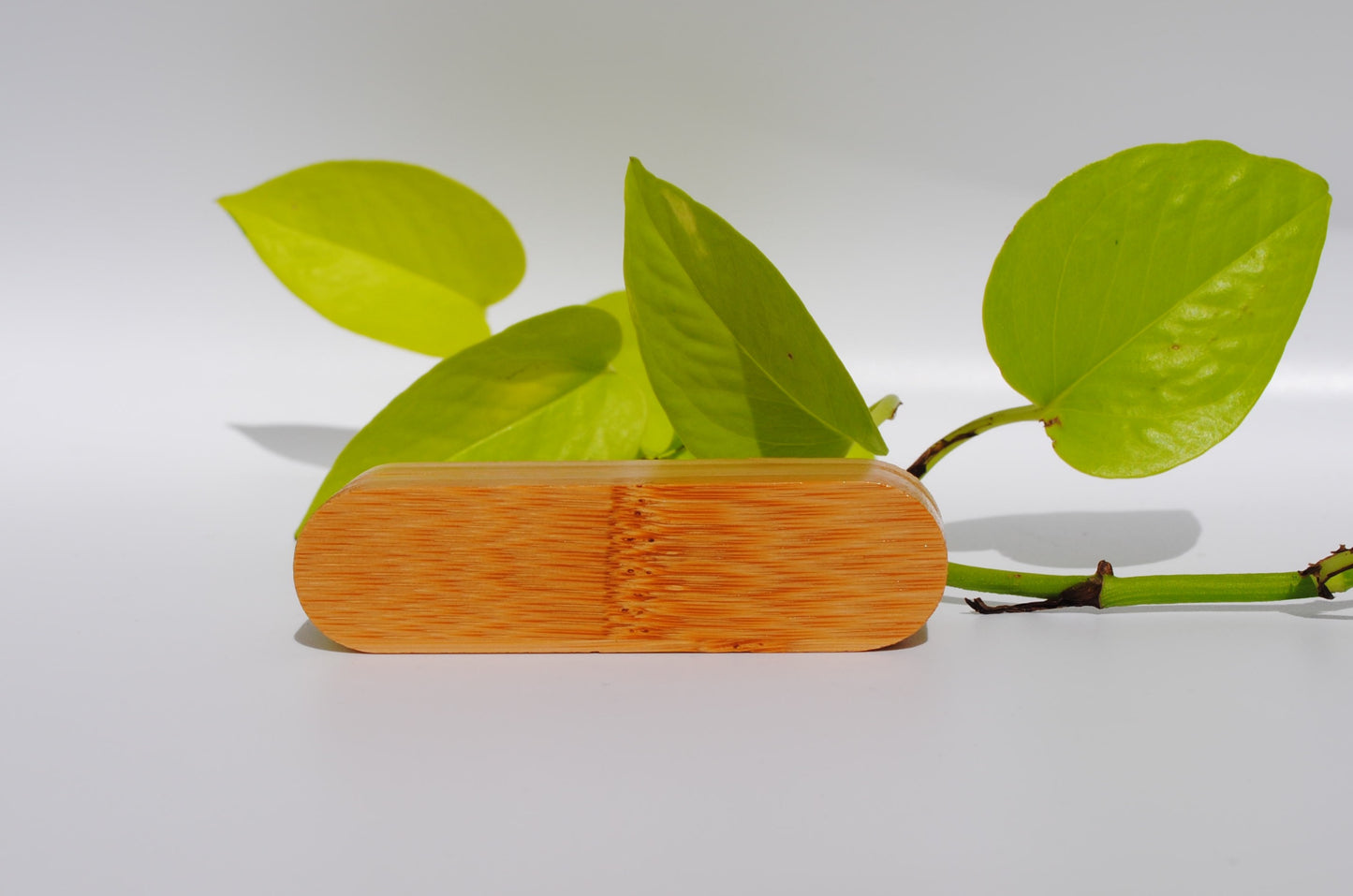 Refillable Silk Floss & Magnetic Bamboo Case