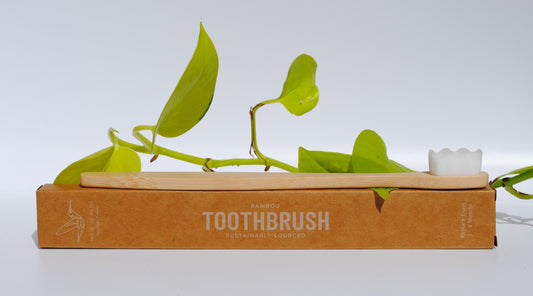 Bamboo Toothbrush