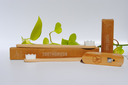 Two Toothbrushes and Refillable Silk Floss Bamboo Case