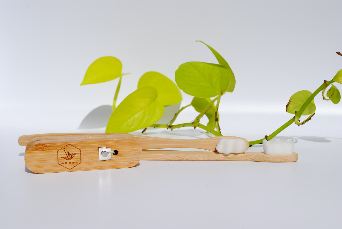 Two Toothbrushes and Refillable Silk Floss Bamboo Case