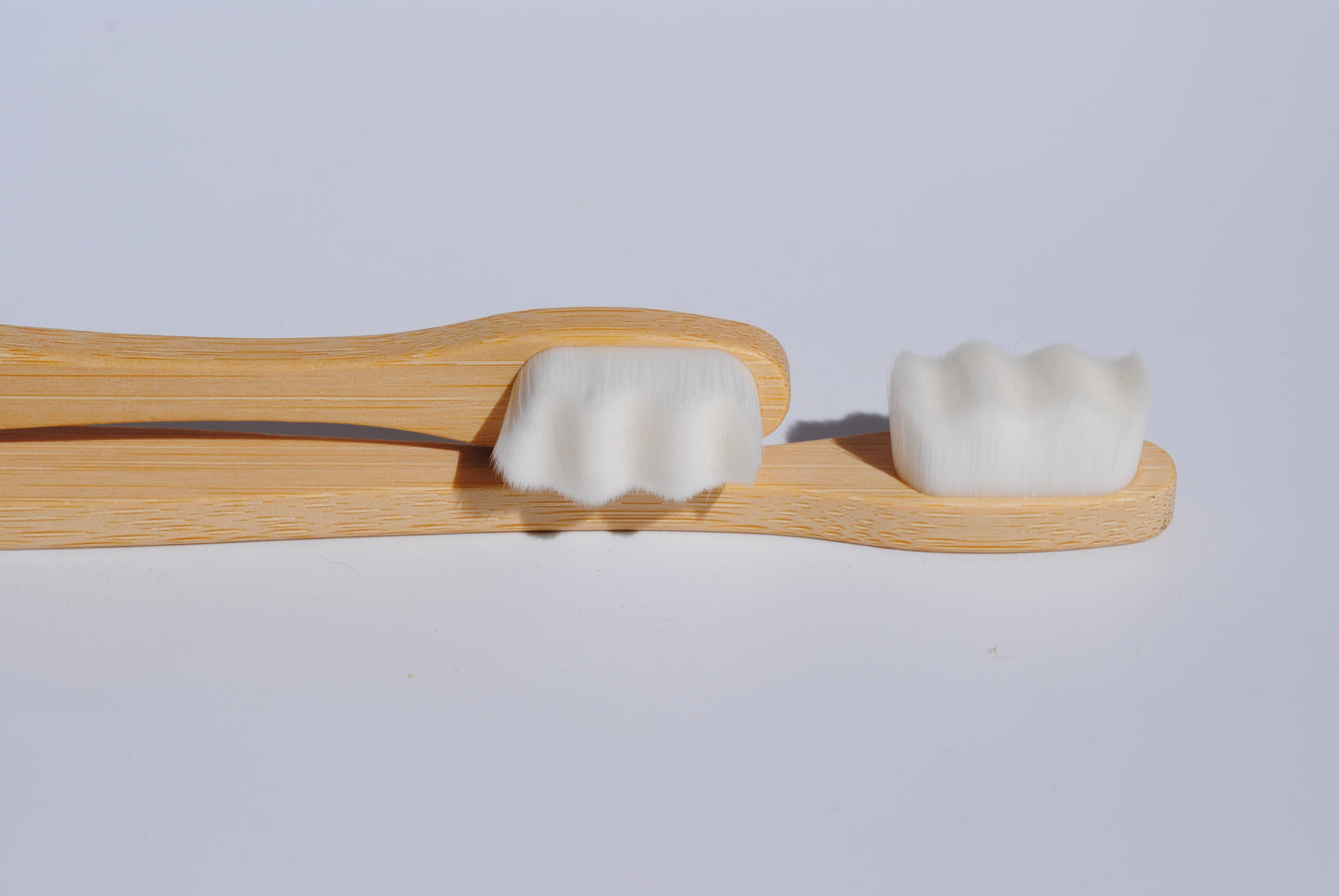 Two Toothbrushes and Refillable Silk Floss Bamboo Case