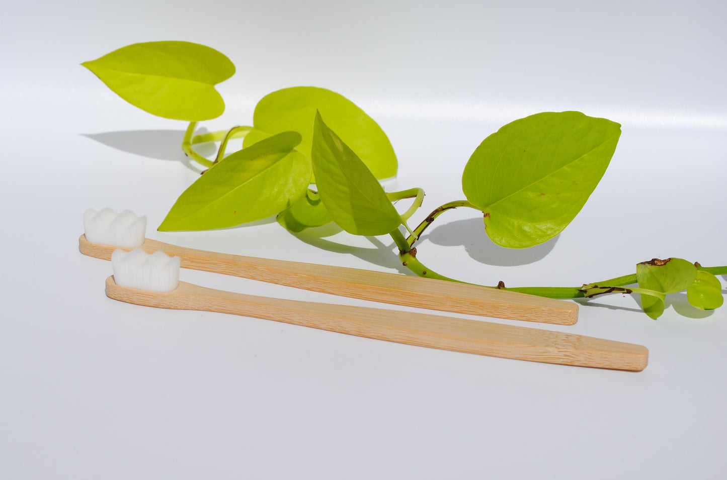 Two Bamboo Toothbrushes Set